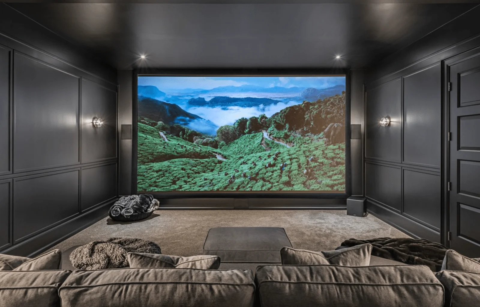 Expert Home Theater Services